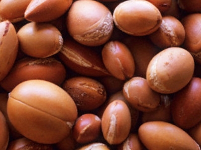 Les ingrédients BIO: Argan, Arganier [Argania spinosa]